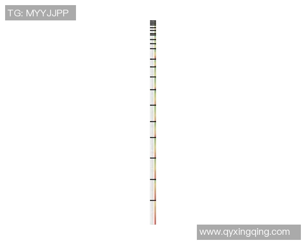 2025年全球足球第一梯队球星排名榜单及其影响力分析